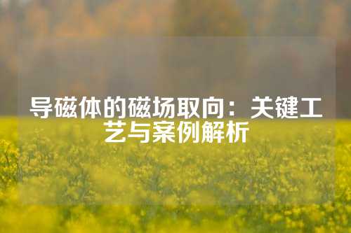 导磁体的磁场取向：关键工艺与案例解析