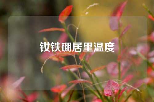 钕铁硼居里温度