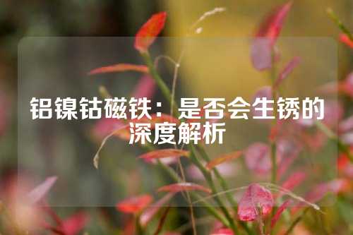 铝镍钴磁铁：是否会生锈的深度解析