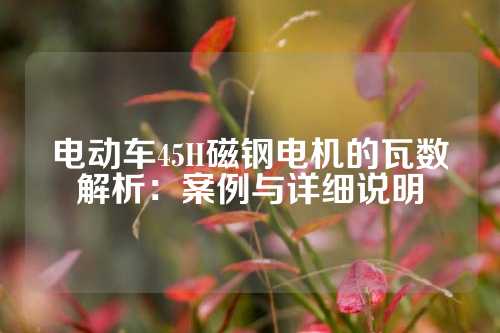 电动车45H磁钢电机的瓦数解析：案例与详细说明