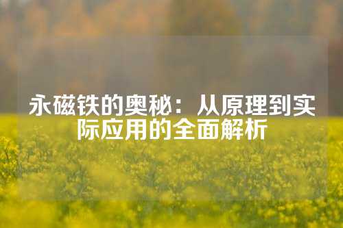 永磁铁的奥秘：从原理到实际应用的全面解析