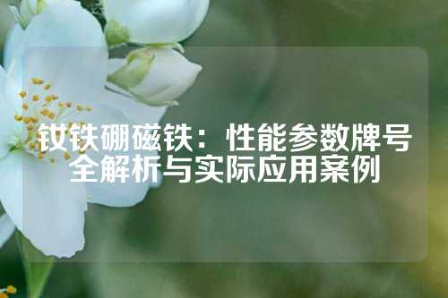 钕铁硼磁铁：性能参数牌号全解析与实际应用案例