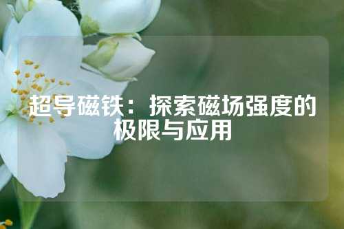 超导磁铁：探索磁场强度的极限与应用