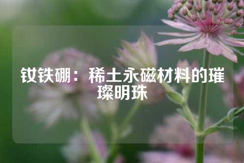 钕铁硼：稀土永磁材料的璀璨明珠