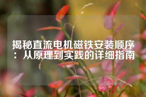 揭秘直流电机磁铁安装顺序：从原理到实践的详细指南