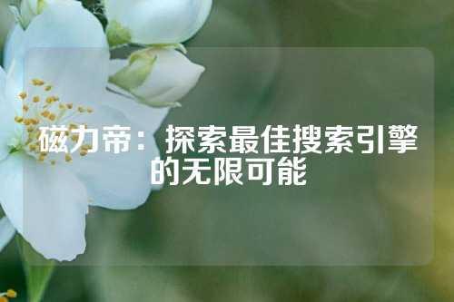 磁力帝：探索最佳搜索引擎的无限可能
