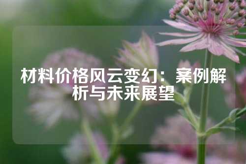 材料价格风云变幻：案例解析与未来展望