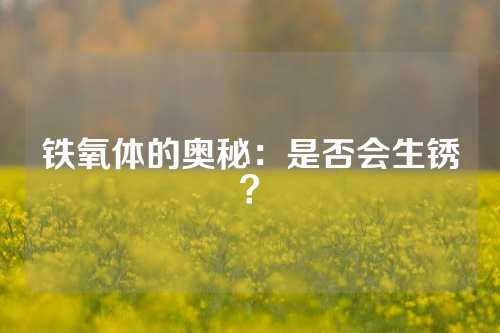 铁氧体的奥秘：是否会生锈？