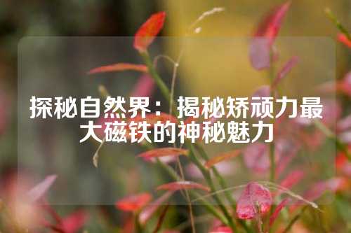 探秘自然界：揭秘矫顽力最大磁铁的神秘魅力