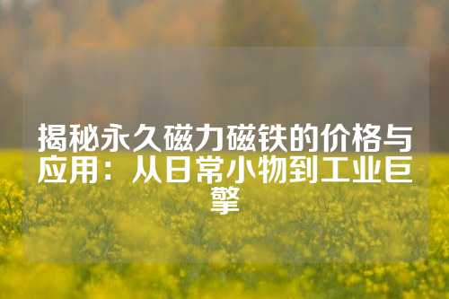 揭秘永久磁力磁铁的价格与应用：从日常小物到工业巨擎