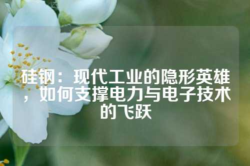 硅钢：现代工业的隐形英雄，如何支撑电力与电子技术的飞跃