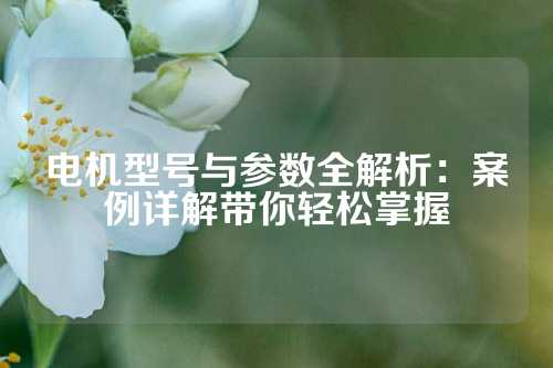 电机型号与参数全解析：案例详解带你轻松掌握