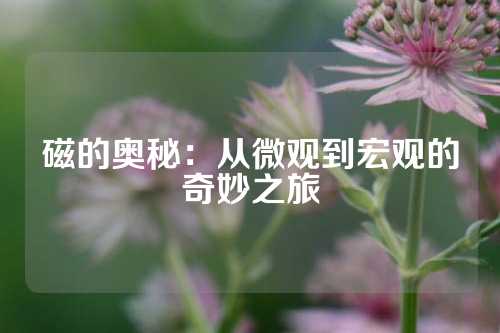 磁的奥秘：从微观到宏观的奇妙之旅