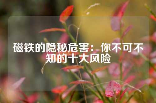 磁铁的隐秘危害：你不可不知的十大风险