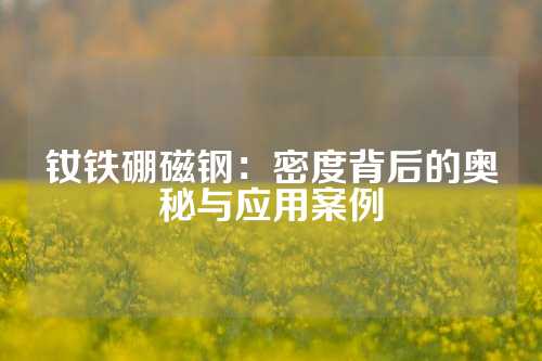 钕铁硼磁钢：密度背后的奥秘与应用案例