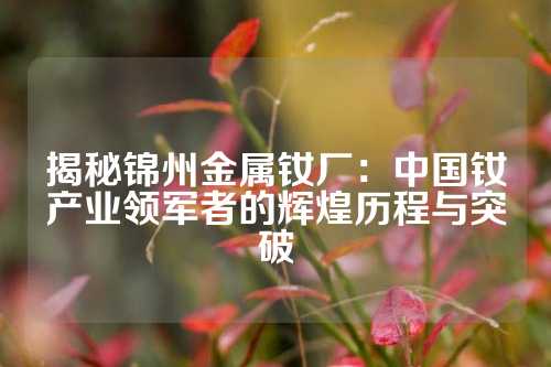 揭秘锦州金属钕厂：中国钕产业领军者的辉煌历程与突破