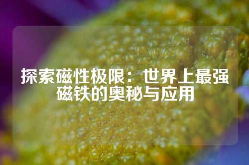 探索磁性极限：世界上最强磁铁的奥秘与应用