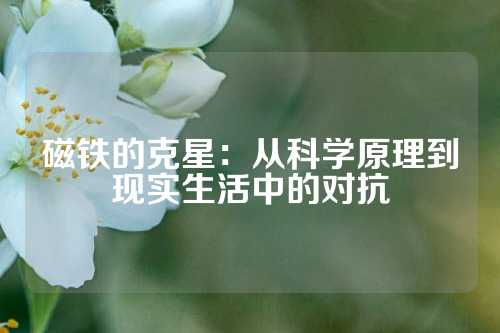 磁铁的克星：从科学原理到现实生活中的对抗