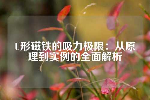 U形磁铁的吸力极限：从原理到实例的全面解析