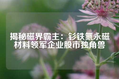 揭秘磁界霸主：钐铁氮永磁材料领军企业股市独角兽