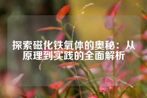 探索磁化铁氧体的奥秘：从原理到实践的全面解析