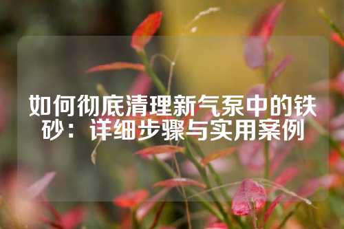 如何彻底清理新气泵中的铁砂：详细步骤与实用案例