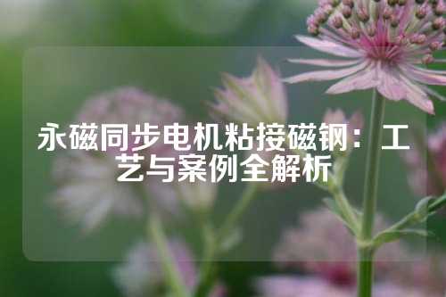 永磁同步电机粘接磁钢：工艺与案例全解析