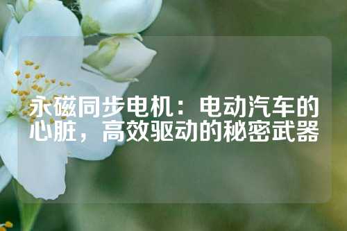 永磁同步电机：电动汽车的心脏，高效驱动的秘密武器