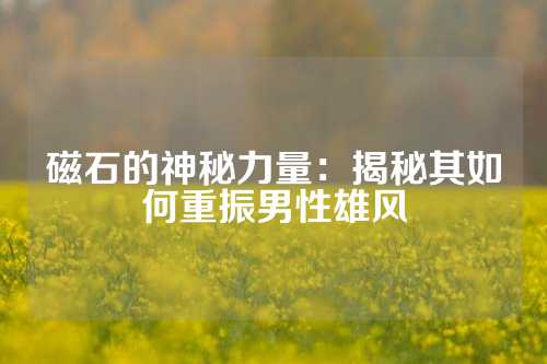 磁石的神秘力量：揭秘其如何重振男性雄风