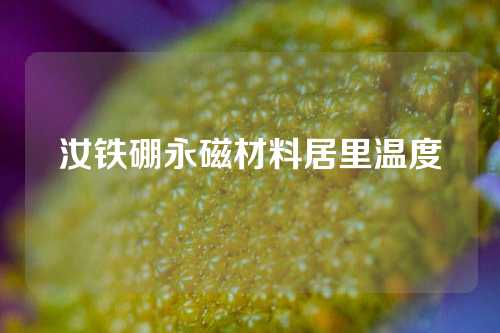 汝铁硼永磁材料居里温度