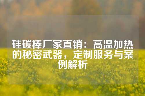 硅碳棒厂家直销：高温加热的秘密武器，定制服务与案例解析