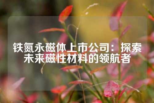 铁氮永磁体上市公司：探索未来磁性材料的领航者