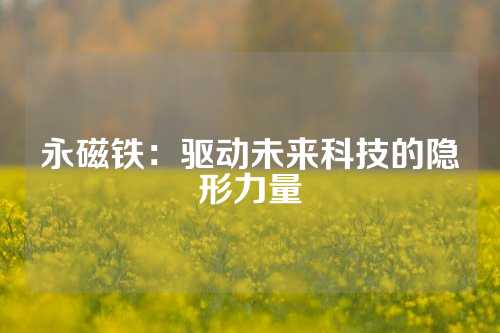 永磁铁：驱动未来科技的隐形力量