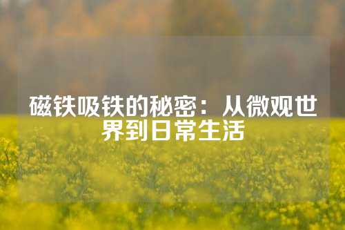 磁铁吸铁的秘密：从微观世界到日常生活
