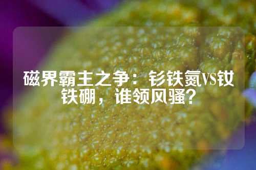 磁界霸主之争：钐铁氮VS钕铁硼，谁领风骚？