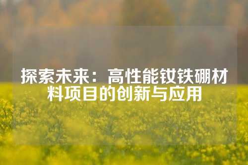 探索未来：高性能钕铁硼材料项目的创新与应用