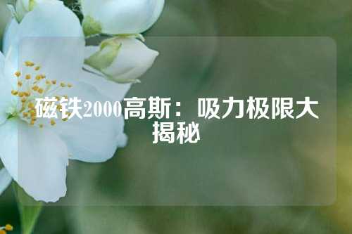 磁铁2000高斯：吸力极限大揭秘