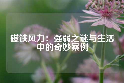 磁铁风力：强弱之谜与生活中的奇妙案例