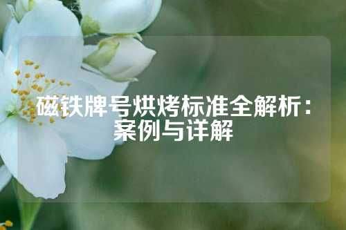 磁铁牌号烘烤标准全解析：案例与详解
