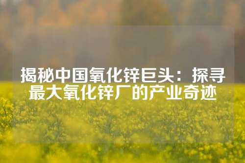 揭秘中国氧化锌巨头：探寻最大氧化锌厂的产业奇迹