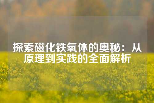 探索磁化铁氧体的奥秘：从原理到实践的全面解析
