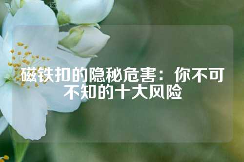 磁铁扣的隐秘危害：你不可不知的十大风险