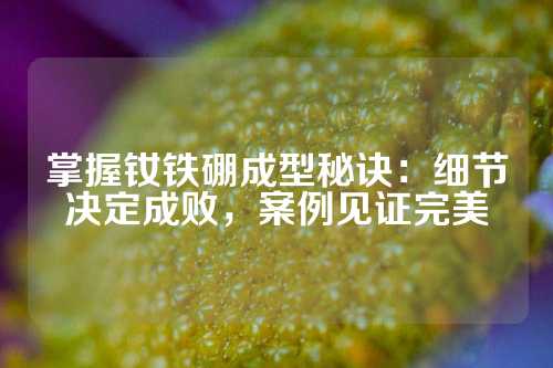 掌握钕铁硼成型秘诀：细节决定成败，案例见证完美