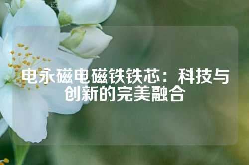电永磁电磁铁铁芯：科技与创新的完美融合