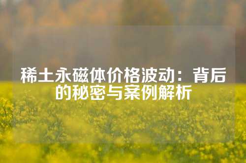 稀土永磁体价格波动：背后的秘密与案例解析