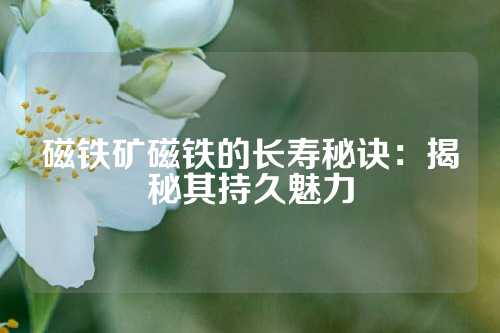 磁铁矿磁铁的长寿秘诀：揭秘其持久魅力