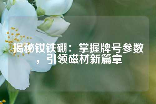揭秘钕铁硼：掌握牌号参数，引领磁材新篇章
