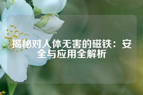 揭秘对人体无害的磁铁：安全与应用全解析