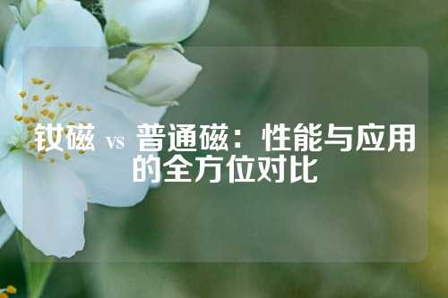 钕磁 vs 普通磁：性能与应用的全方位对比