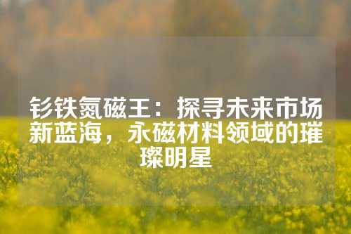 钐铁氮磁王：探寻未来市场新蓝海，永磁材料领域的璀璨明星